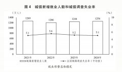 关于2024年国平易近经济和社会成长打算施行环境